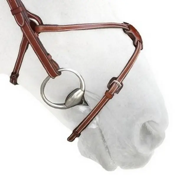 Horse cheek pieces Silver Crown Figure 8