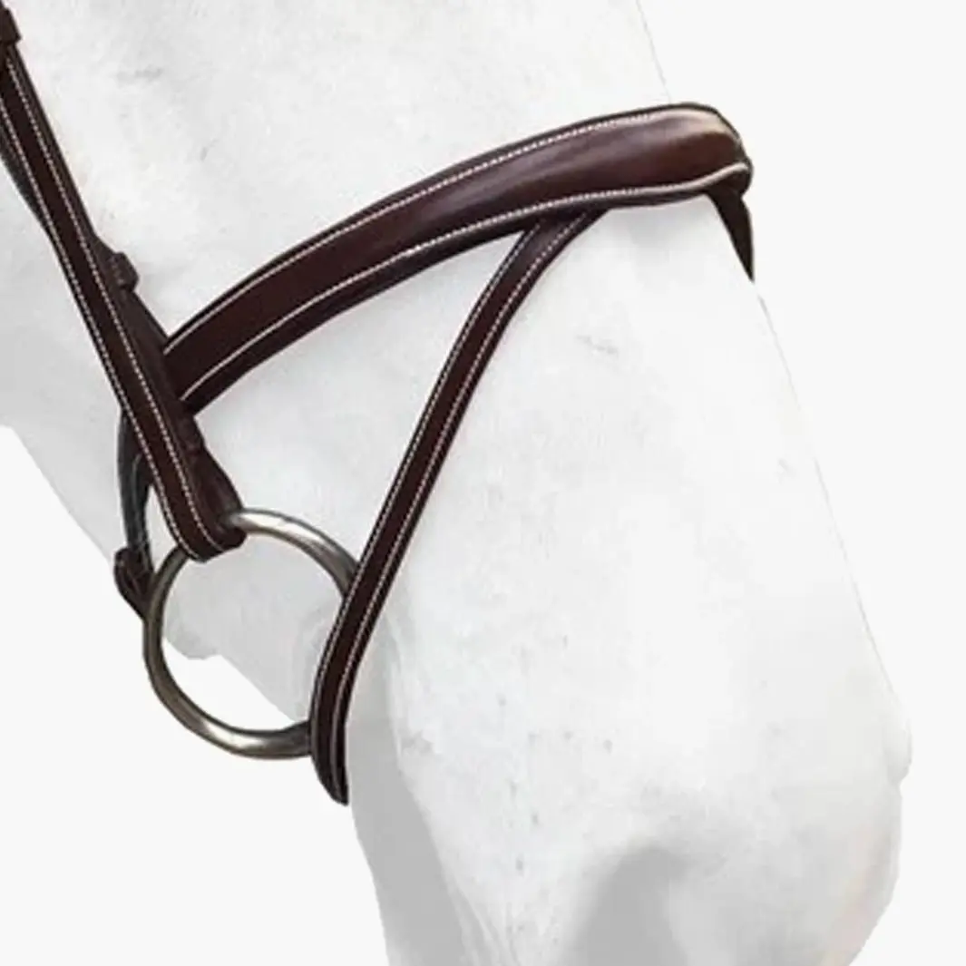 Horse cheek pieces Silver Crown Flash 3D