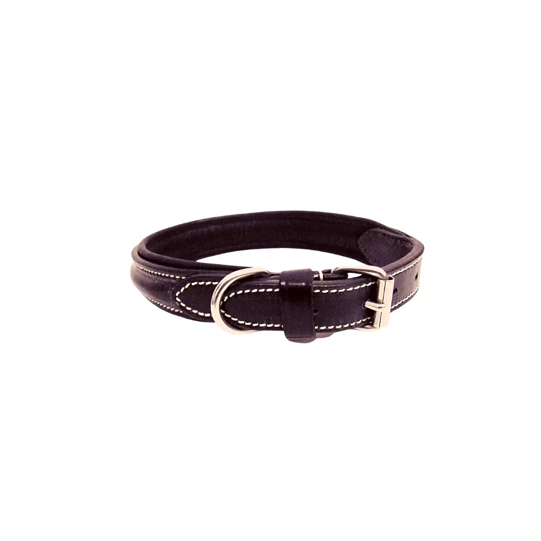 Dog collar Silver Crown Fairway