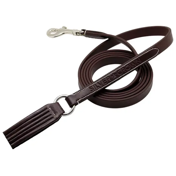 Dog collar Silver Crown Deauville