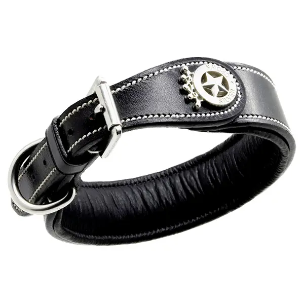 Dog collar Silver Crown Carlotta