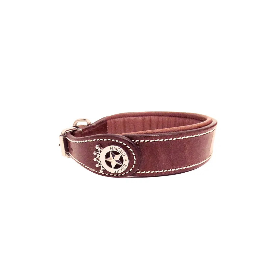 Dog collar Silver Crown Carlotta