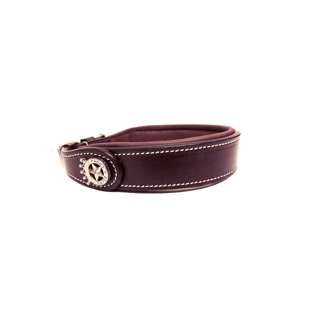 Dog collar Silver Crown Carlotta