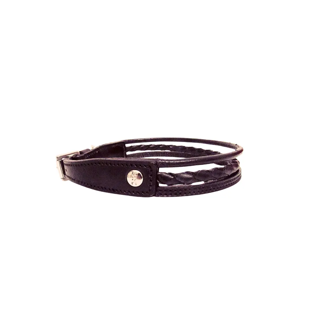 Dog collar Silver Crown Nina