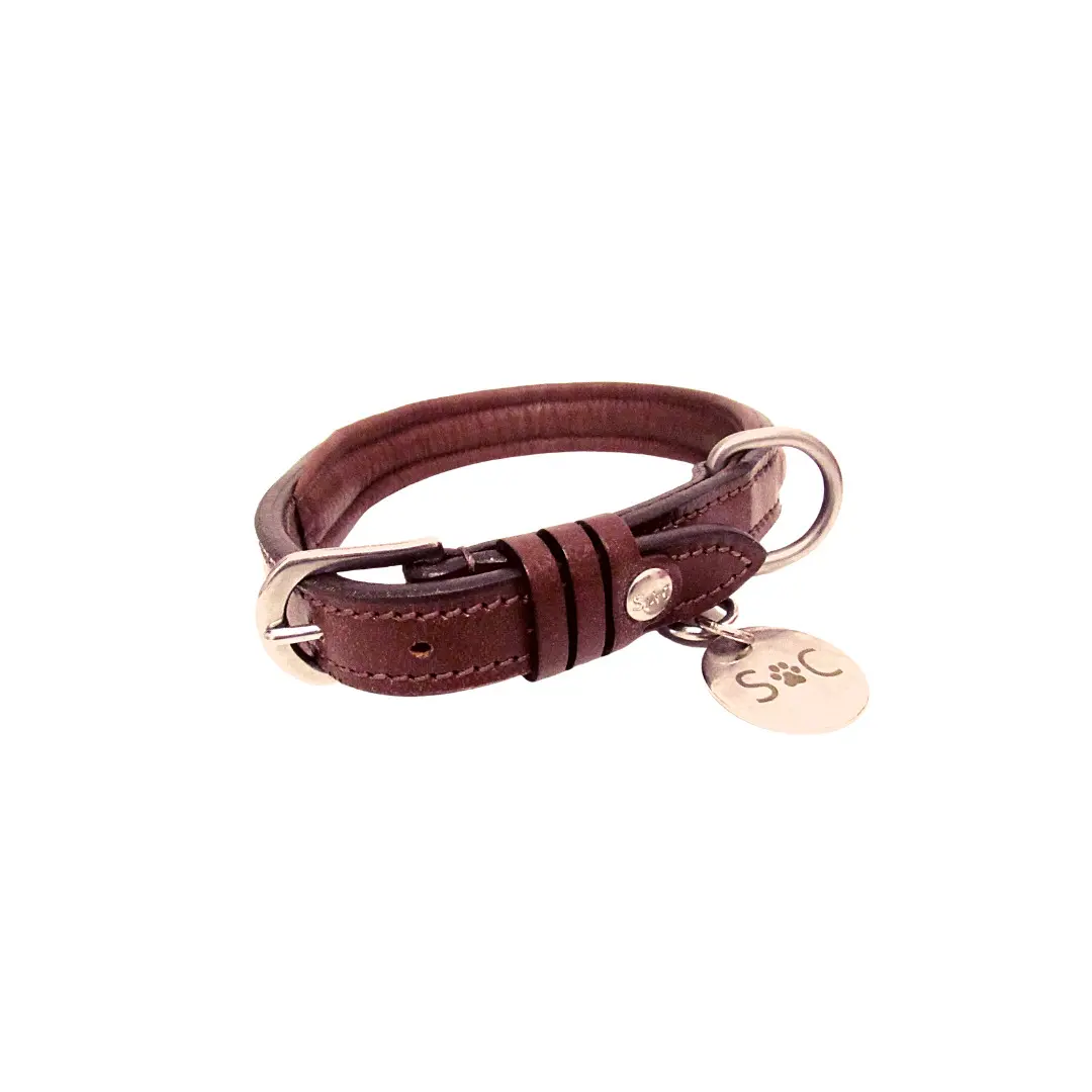 Dog collar Silver Crown JO