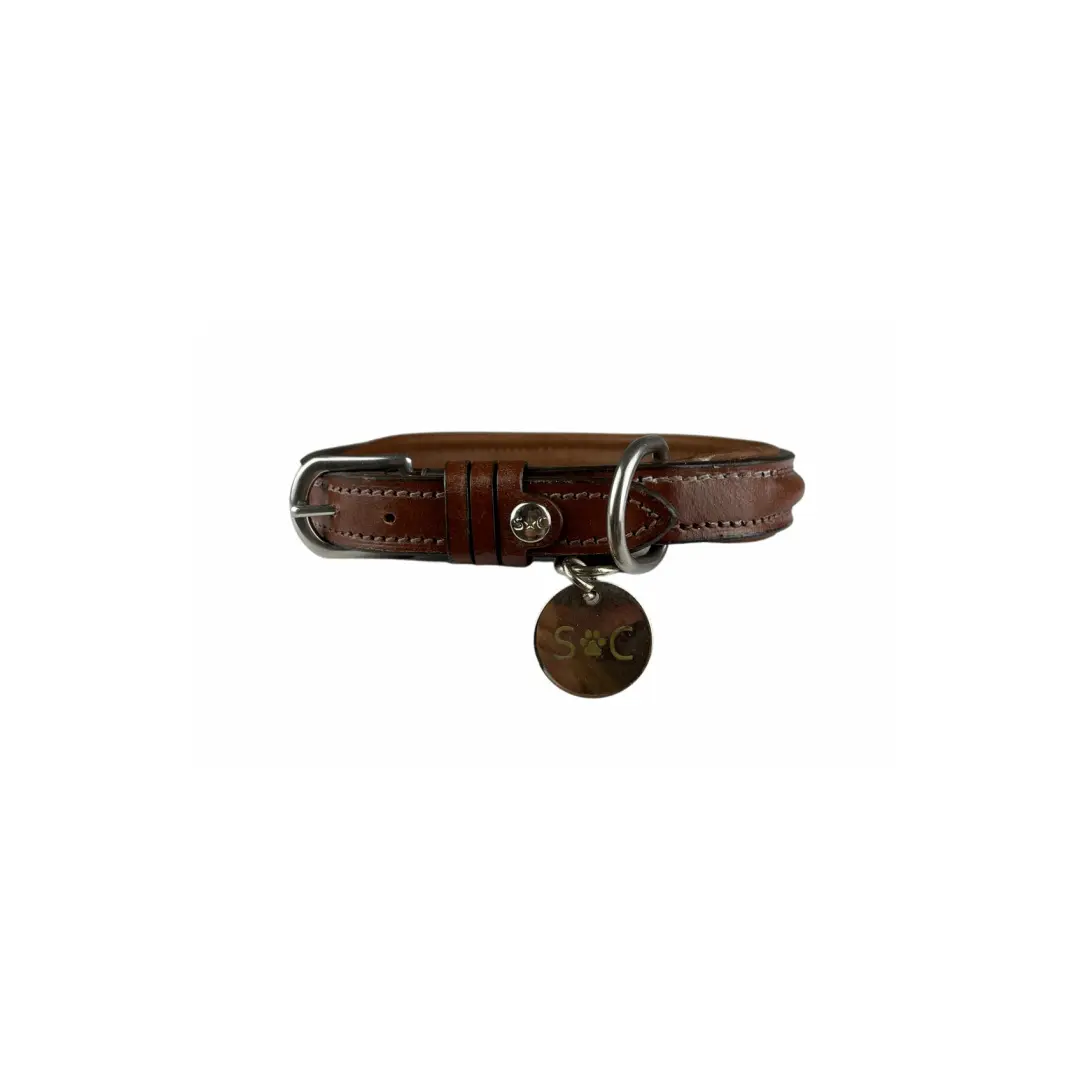 Hundehalsband Silver Crown JO