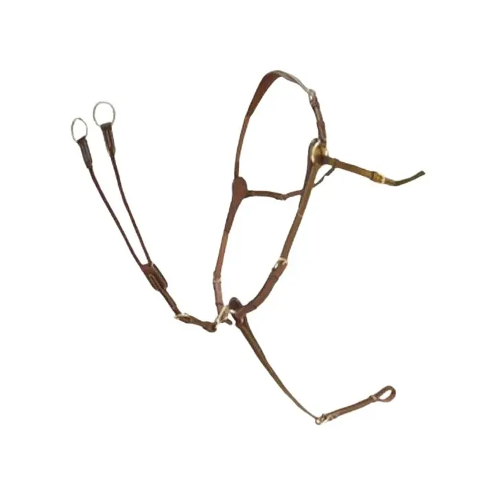 Hunting collar Silver Crown