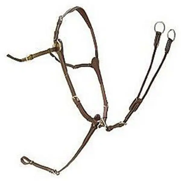 Hunting collar Silver Crown