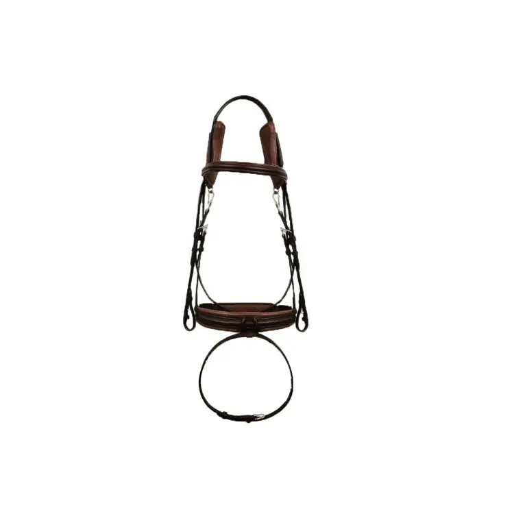 Complete riding bridles with comfort noseband Silver Crown CODE01