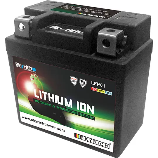 Lithium-Batterie Skyrich LFP01
