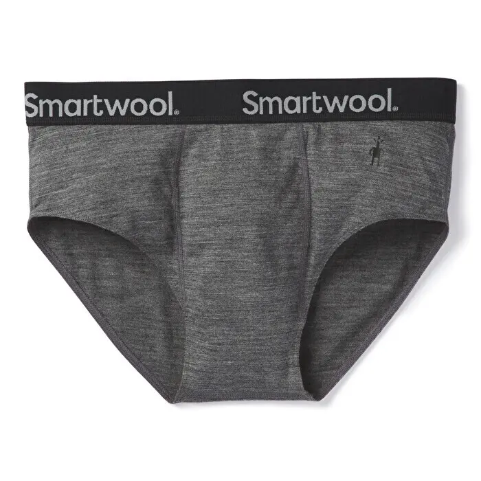 Smartwool Merino Sport 150 Brief Slips Grijs L Man