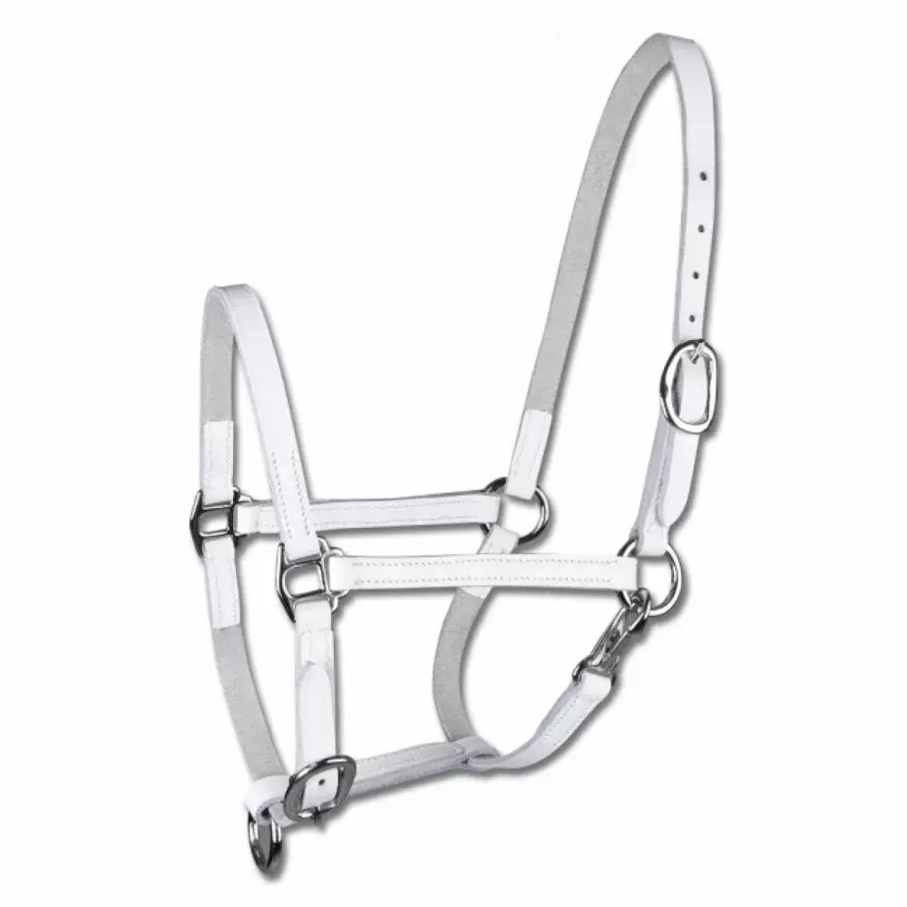 Leather show halter for pony Star