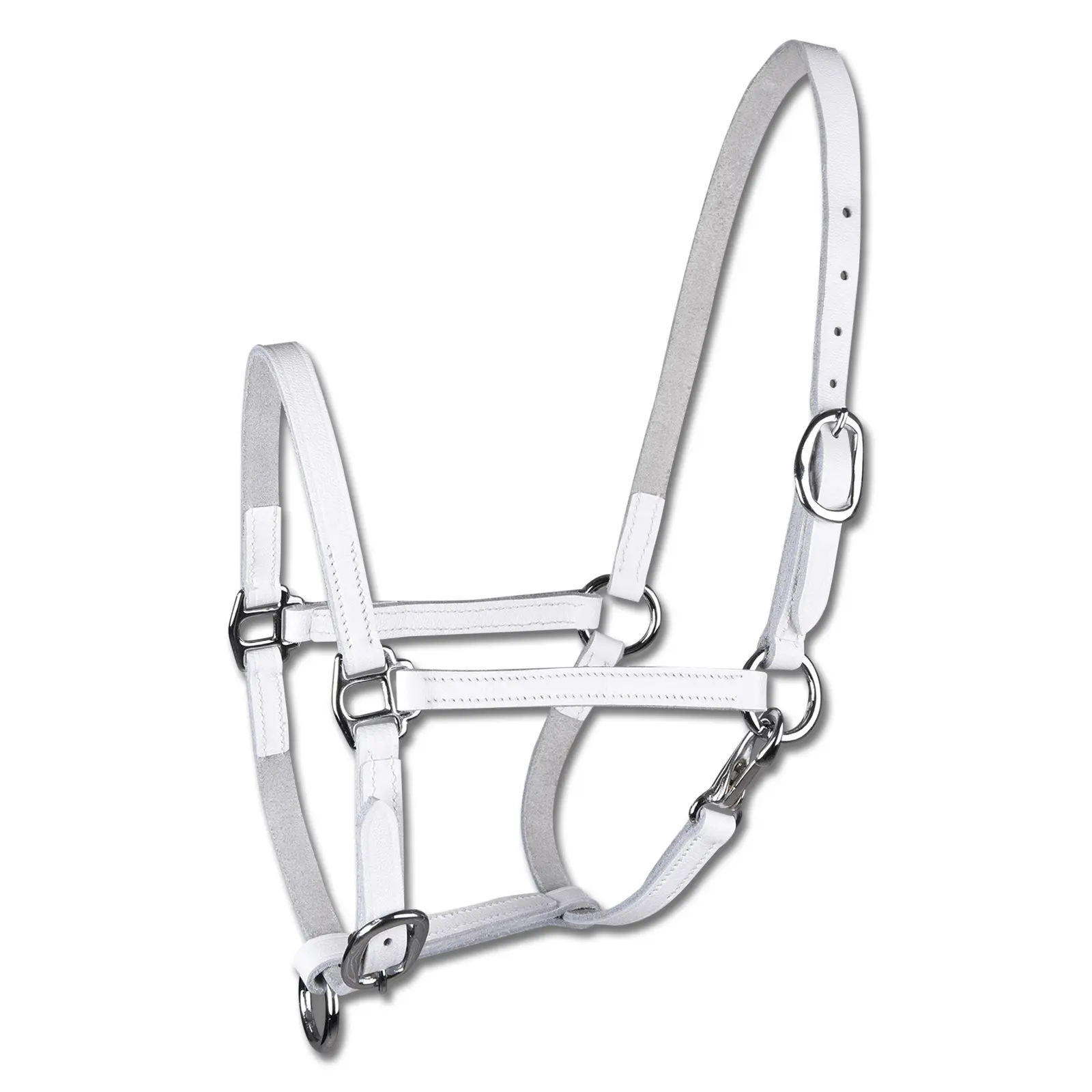 Show halter for Shetland in leather Star