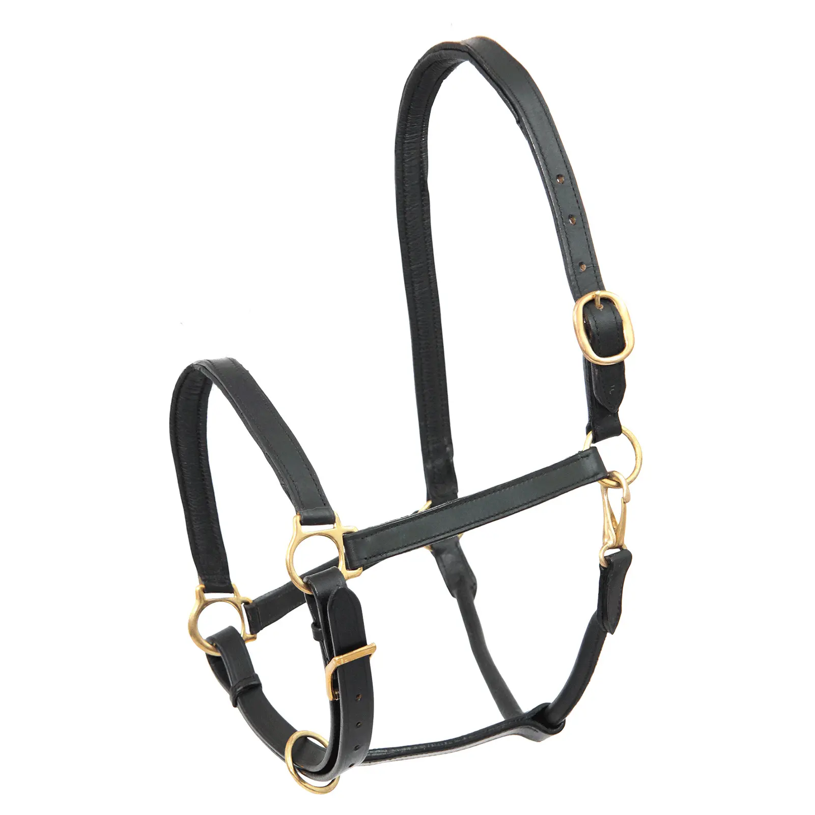 Leather halter for foals Star Robust
