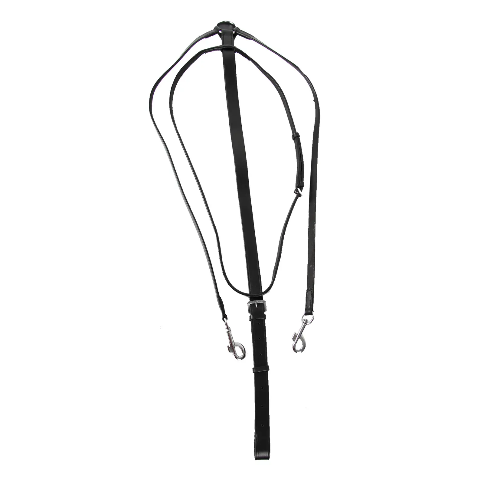 Special horse martingale Star Thiedmann