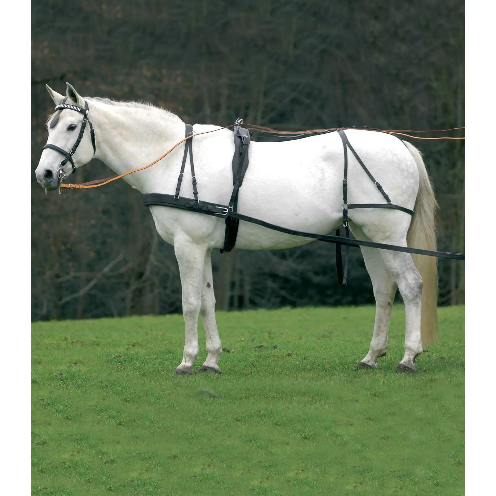 Horse saddle pad Star