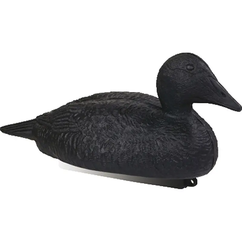 Eiderankers Stepland (x12)