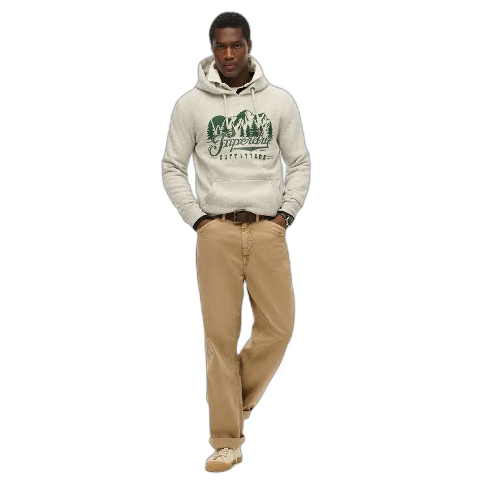 Sweat shirt Superdry Sweatshirt à capuche Outfitters EU