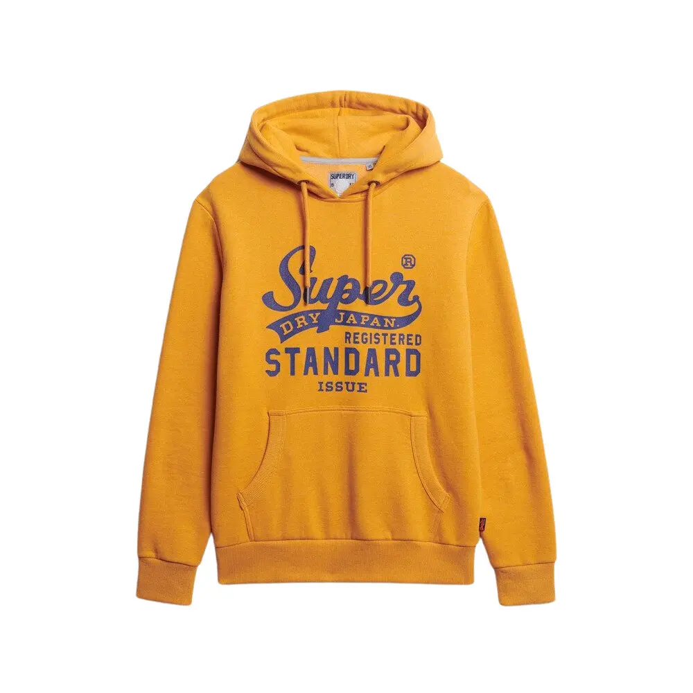 Sweat shirt Superdry Sweatshirt à capuche Standard Script EU - vue 4
