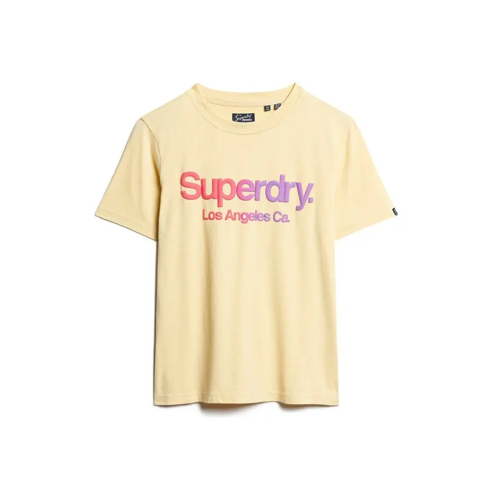 Ton-in-Ton T-Shirt Damen Superdry Rainbow Core