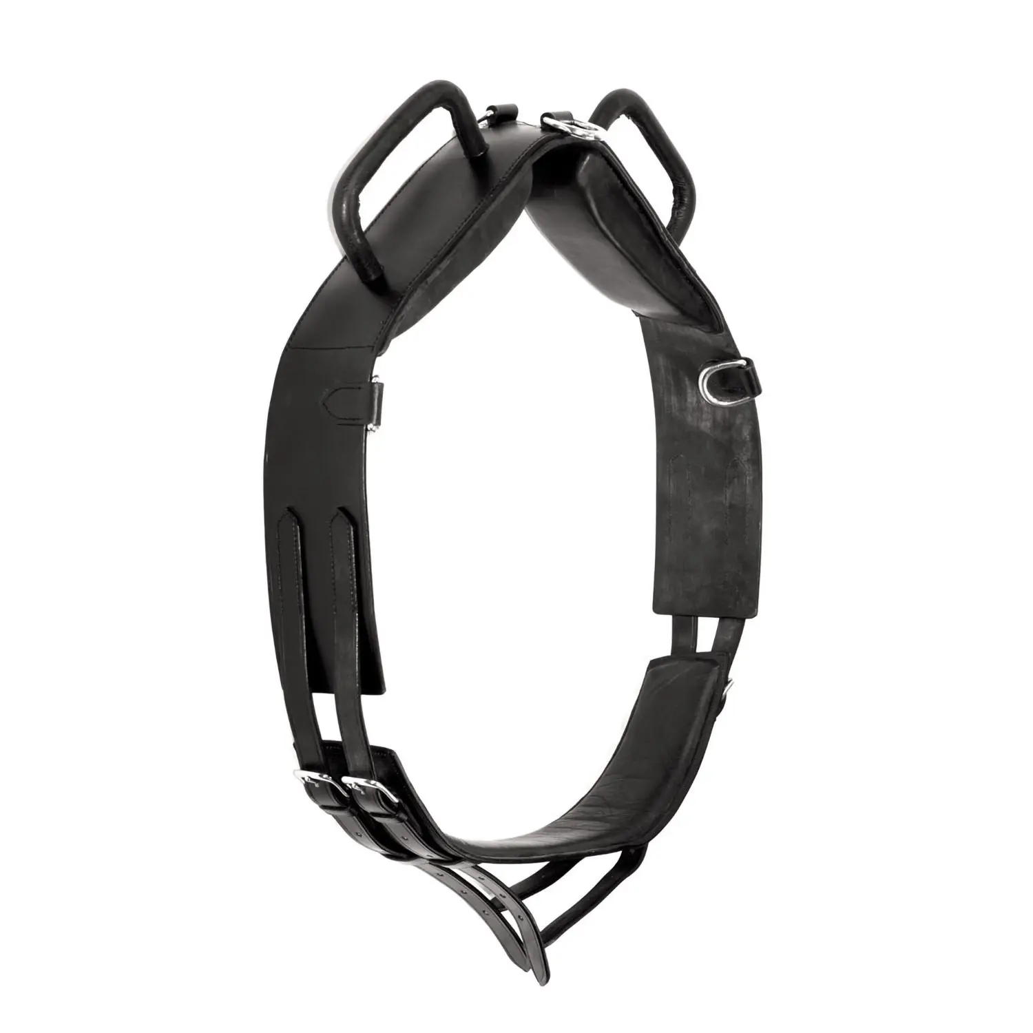 Leather lungeing surcingle for horses Supreme Chetak