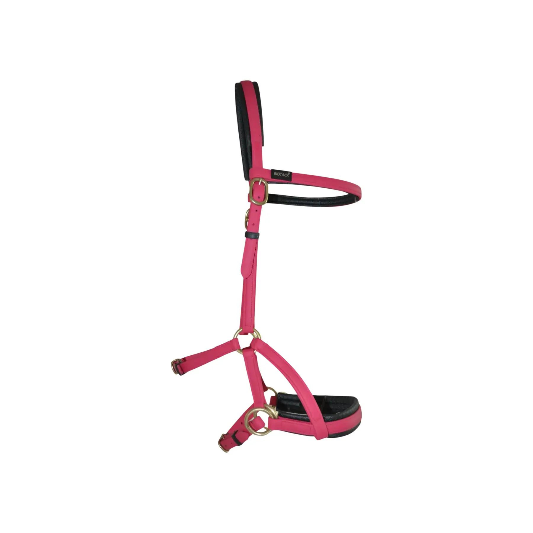 Bridles T de T Sidepull Biotack®
