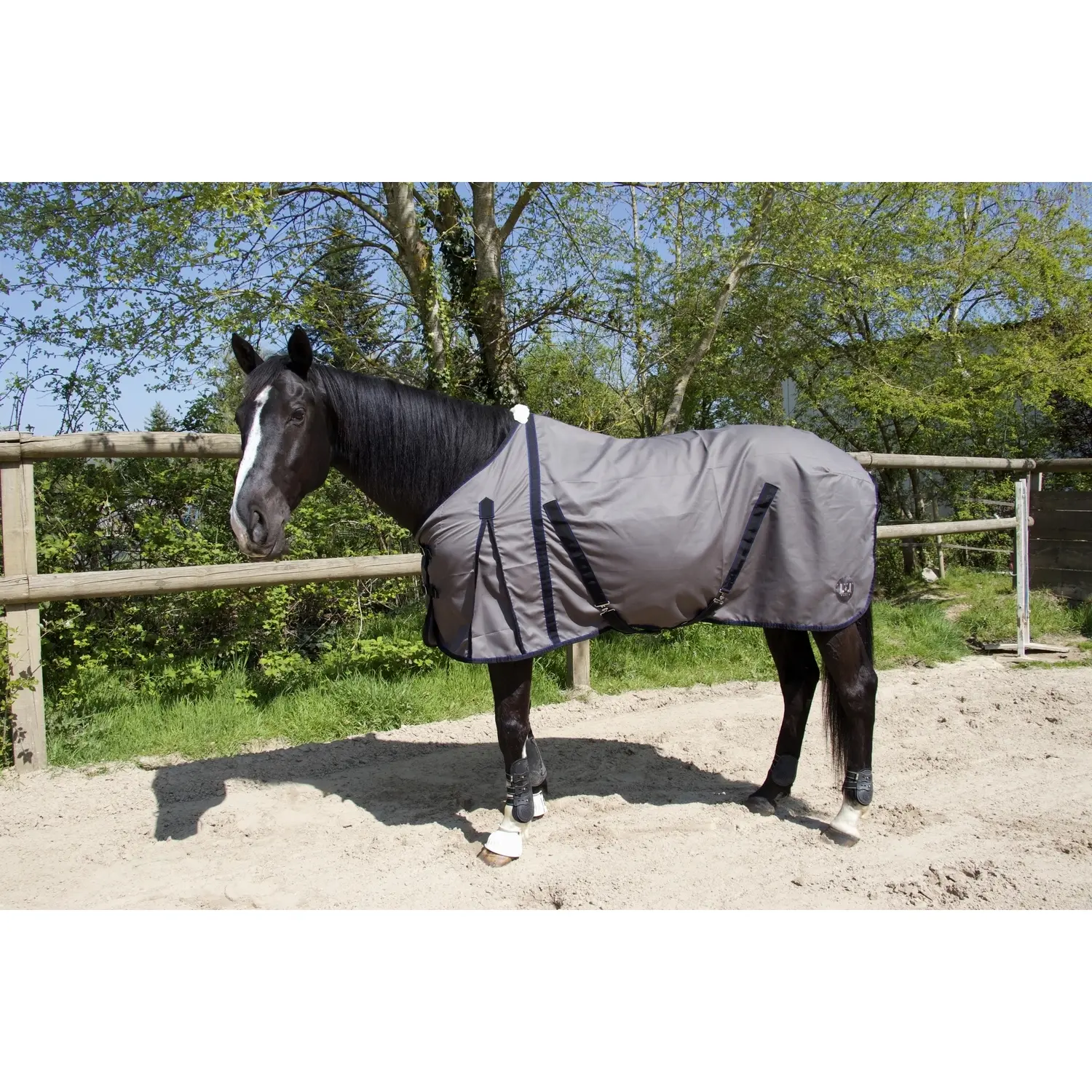 Cotton horse shirt T de T