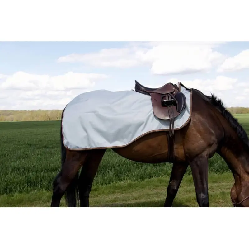 Waterproof Hindquarters Covers T de T