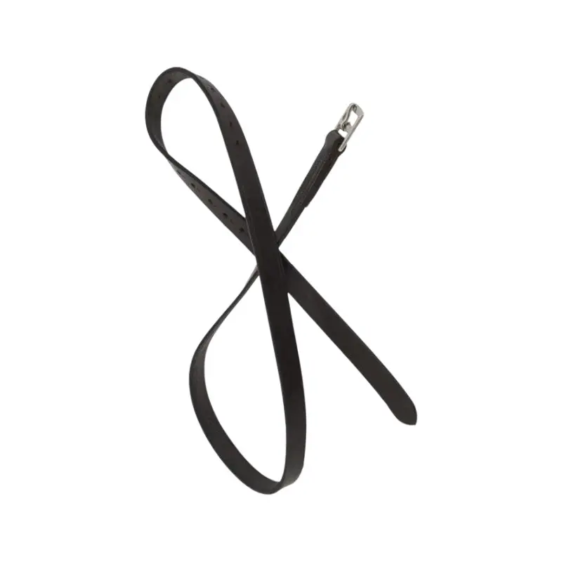 Standard leather stirrups T de T