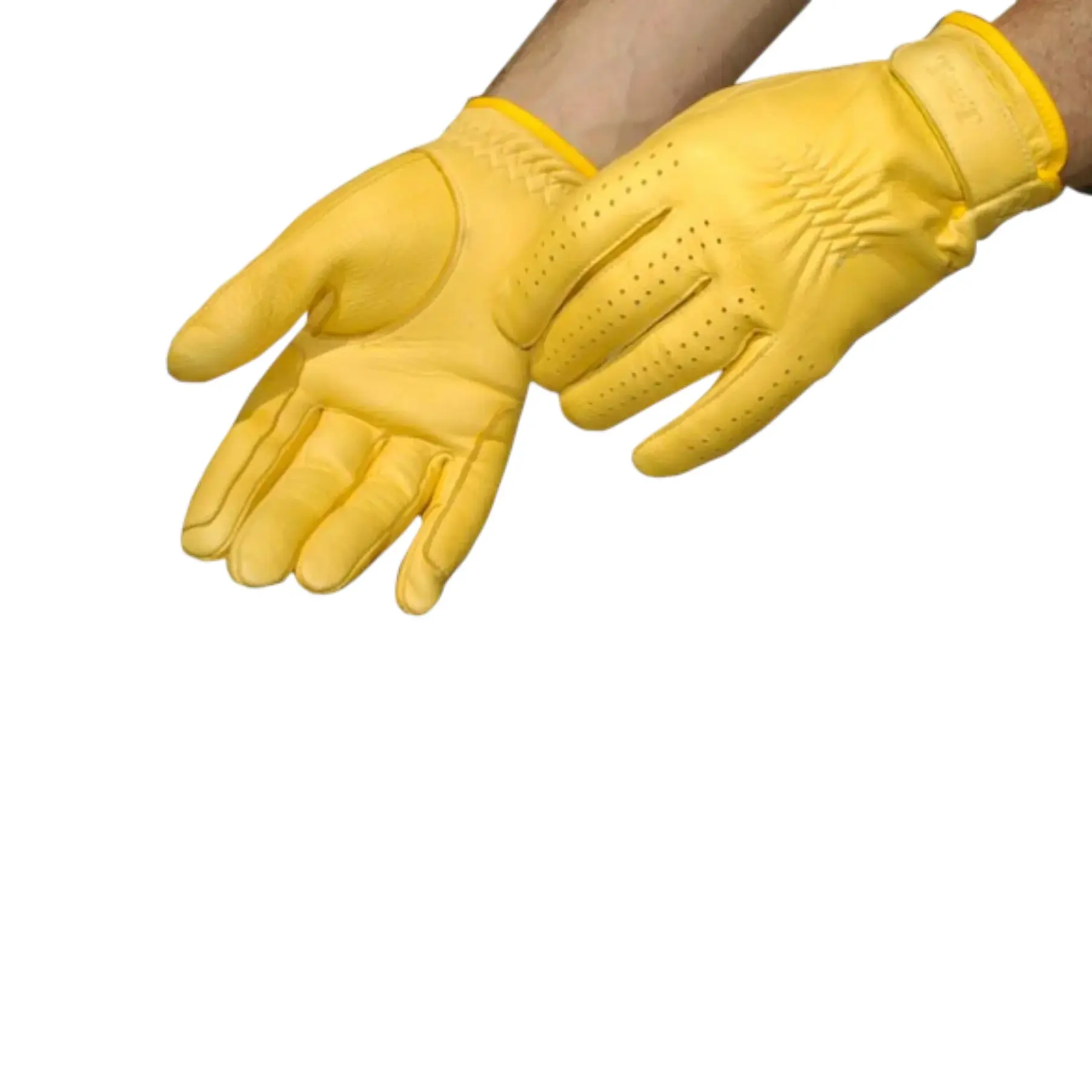 Leren rijhandschoenen T de T