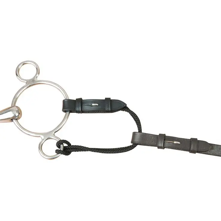 Alliance for leather and rope bits T de T
