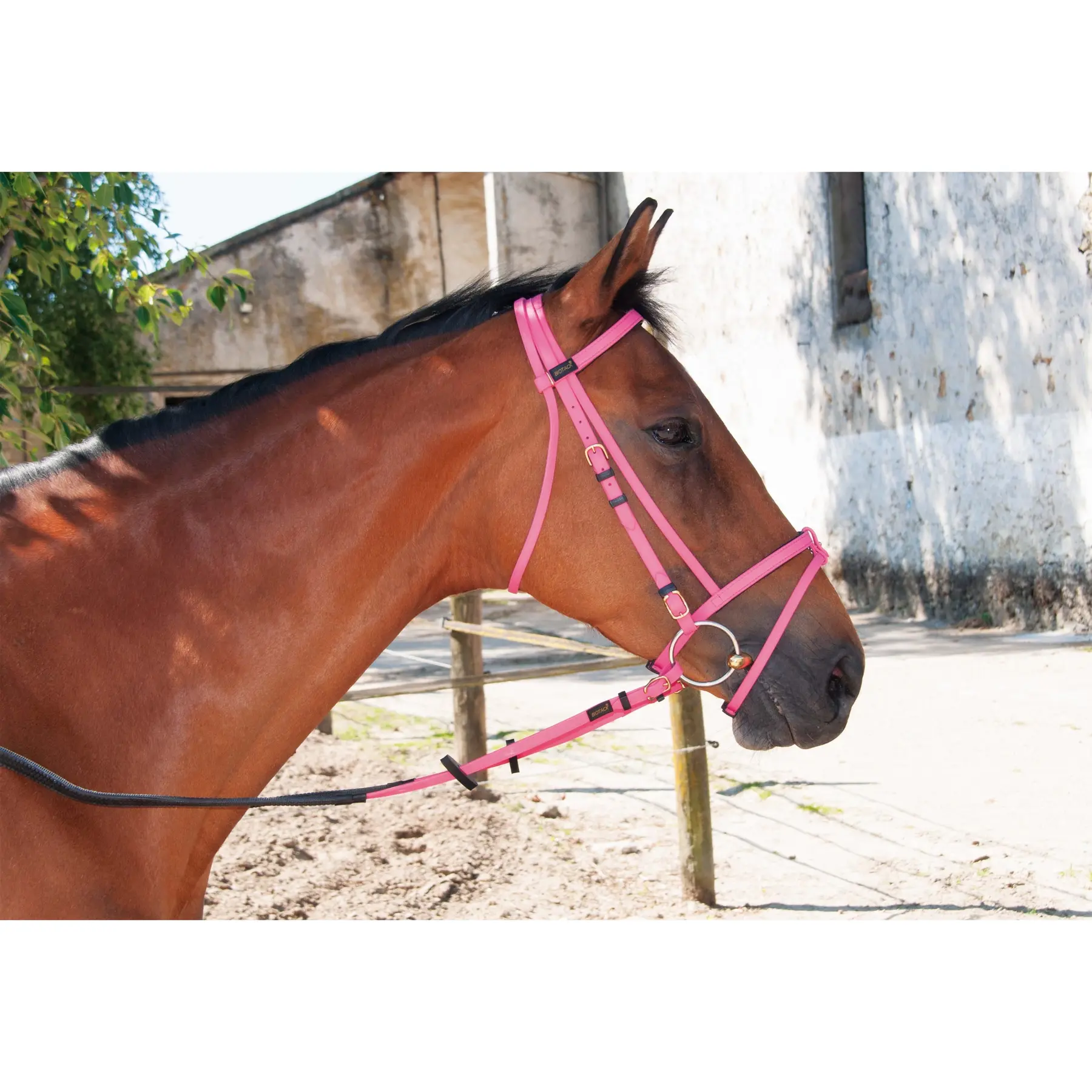 Bridles T de T Biotack®