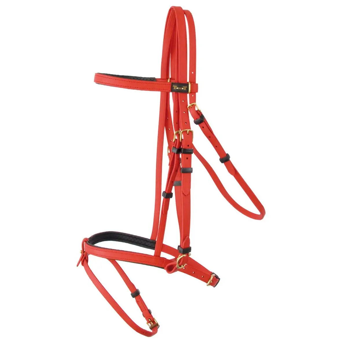 Bridles T de T Biotack®