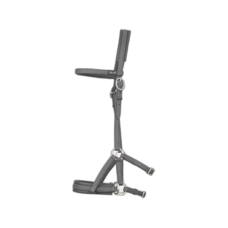 Riding bridles T de T Sidepull Biotack®