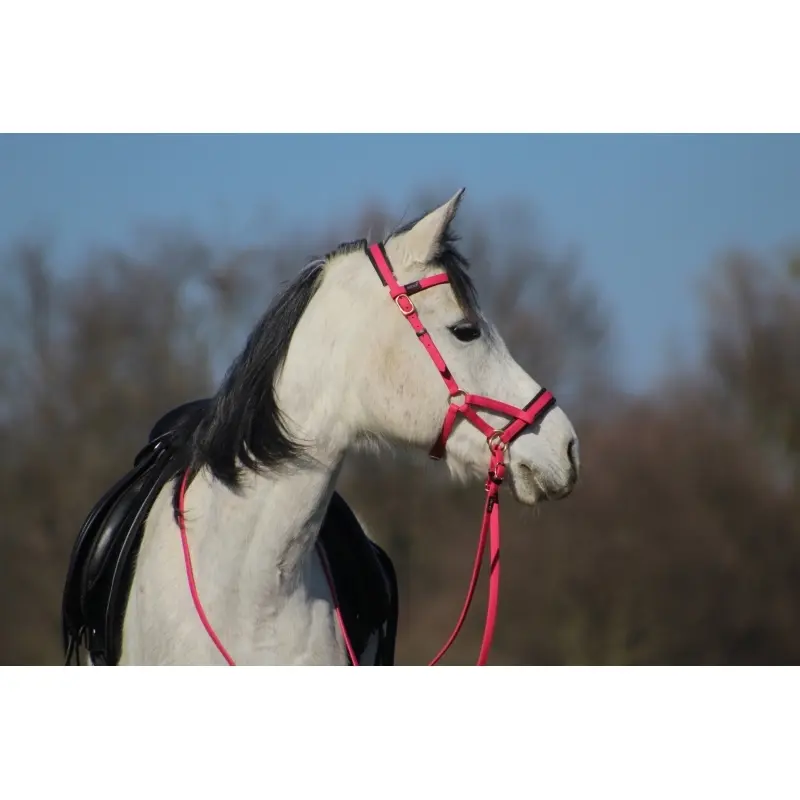 Riding bridles T de T Sidepull Biotack®