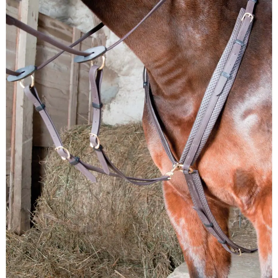 Hunting collar for horse T de T