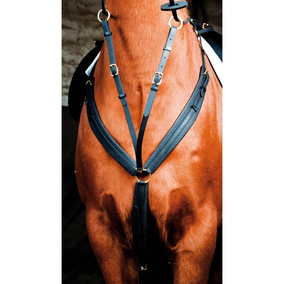 Hunting collar for horse T de T
