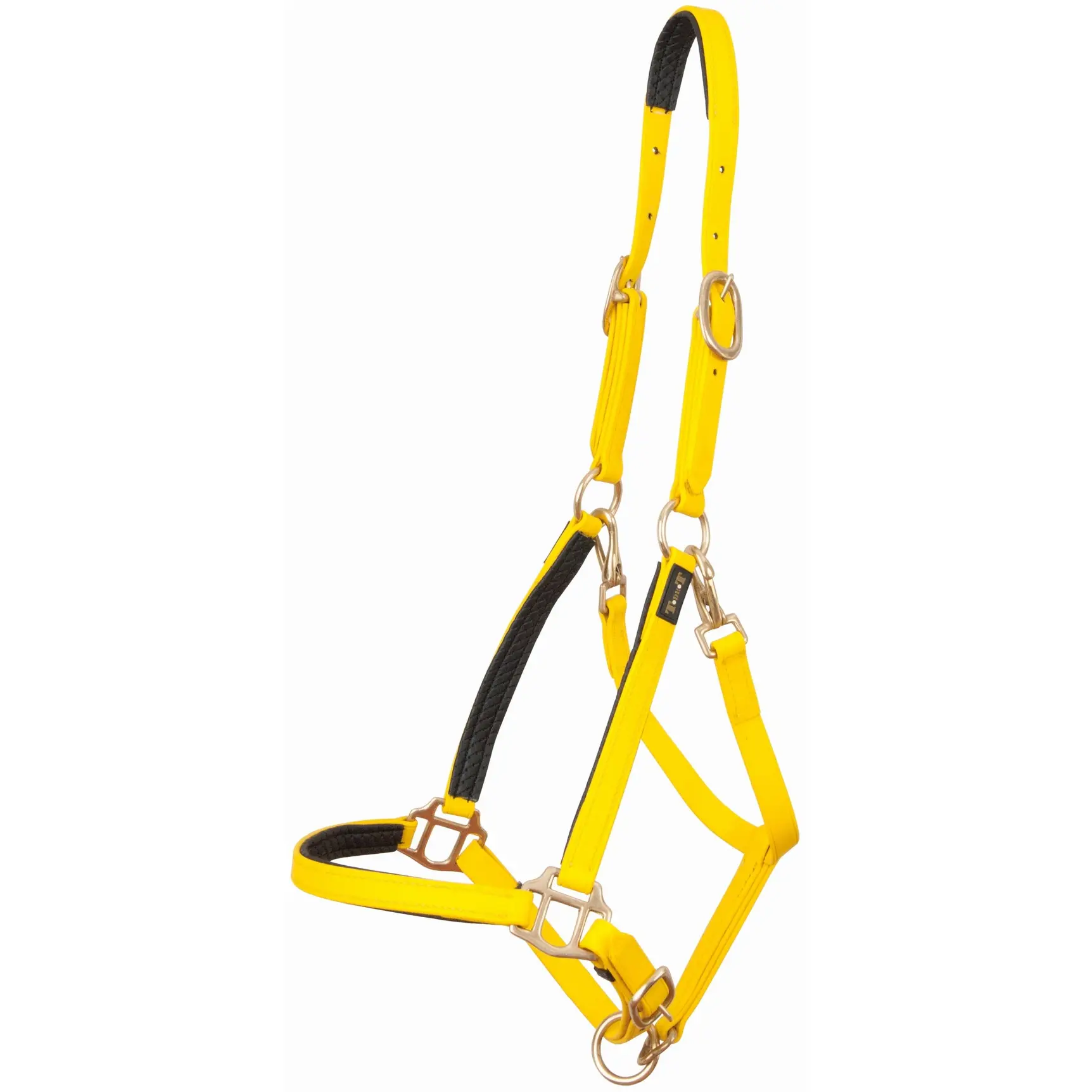 Halter for horse T de T Biotack®