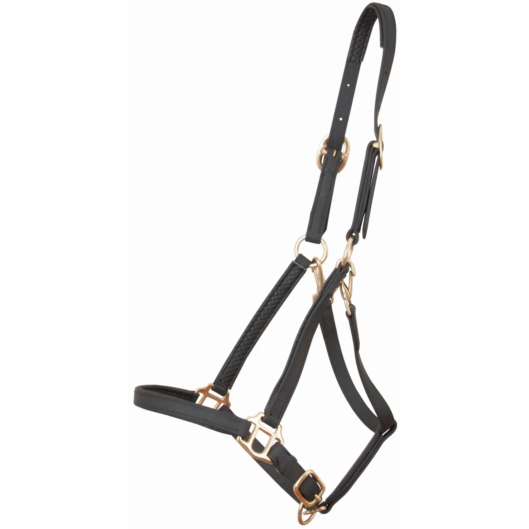 Halter for horse T de T Biotack®