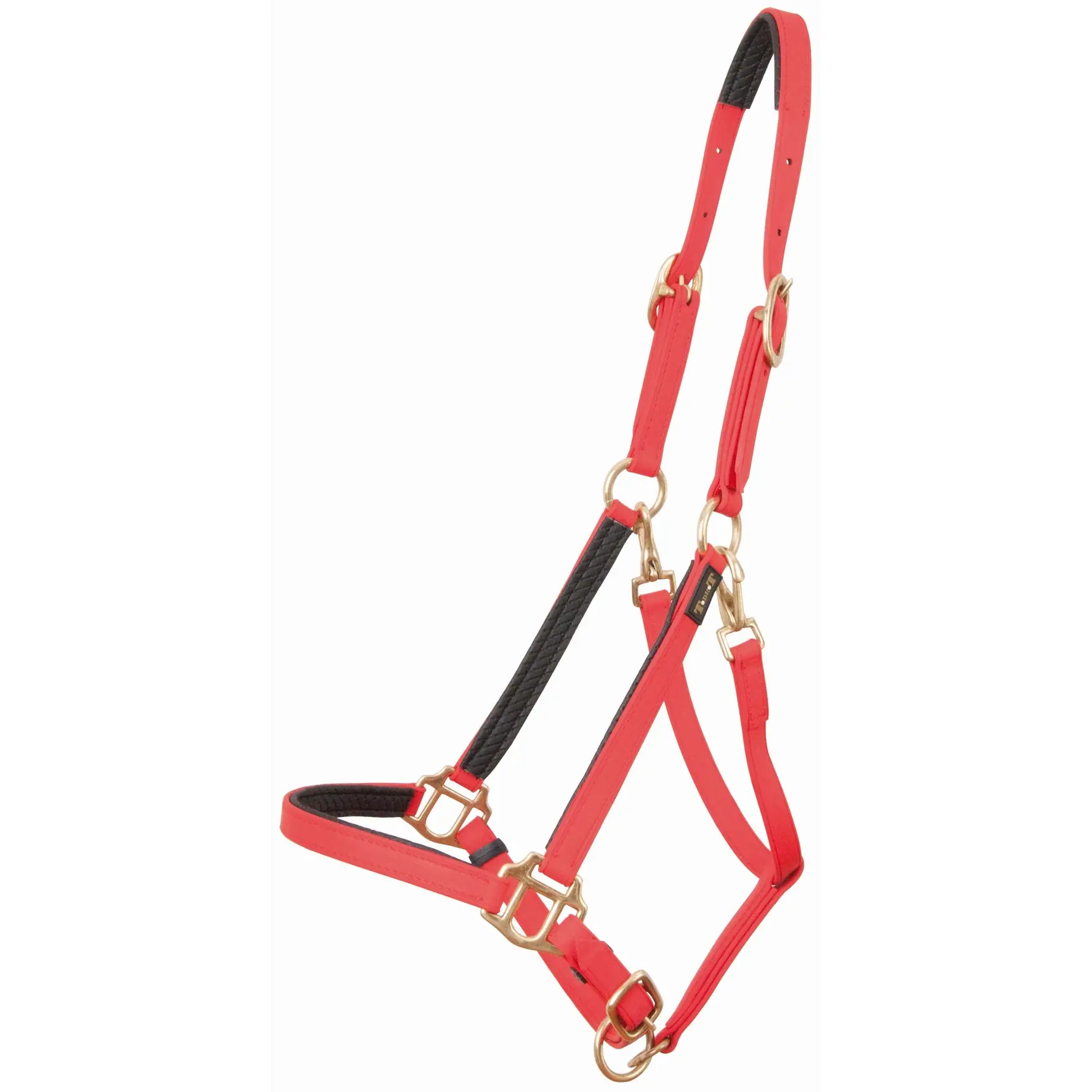 Halter for horse T de T Biotack®