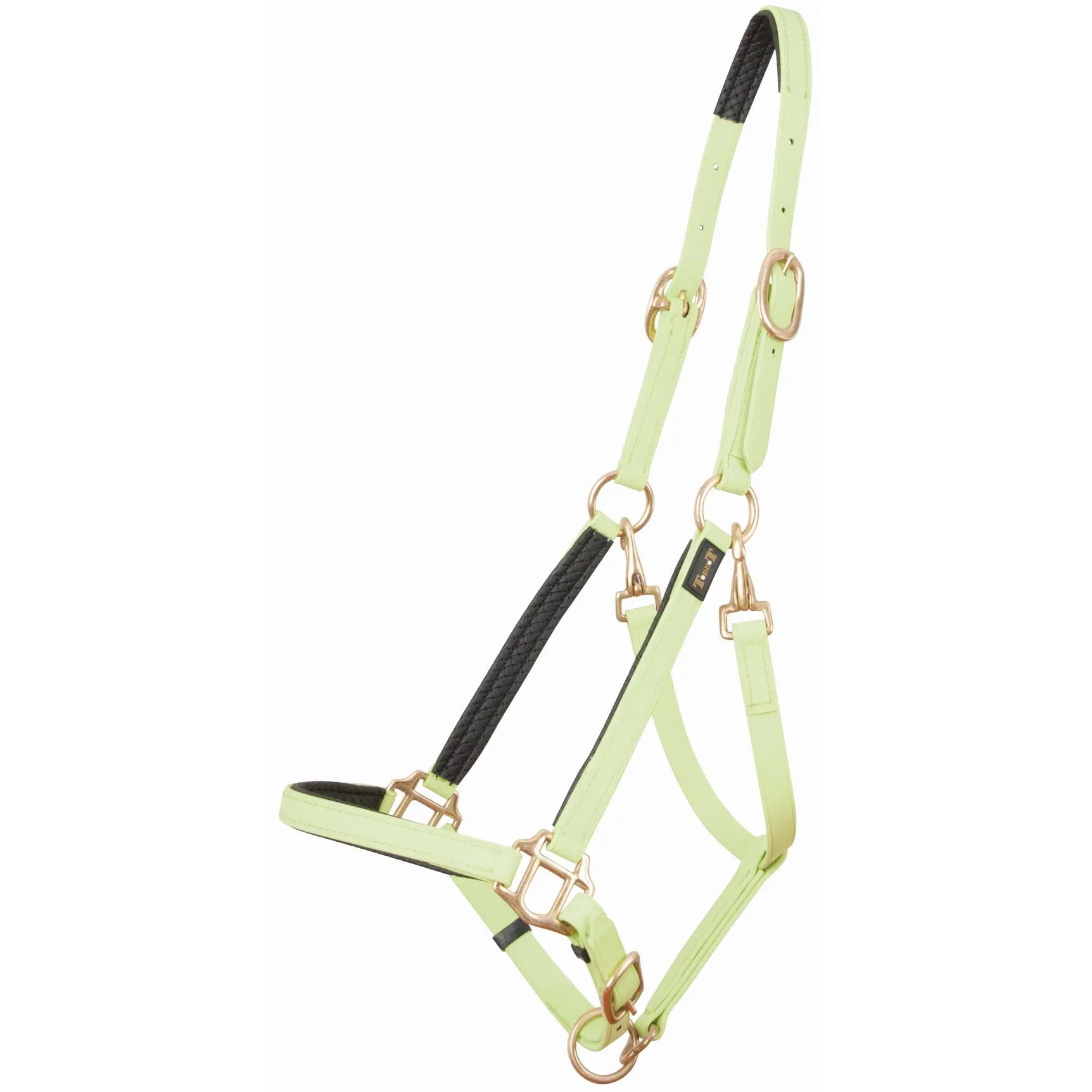 Halter for horse T de T Biotack®