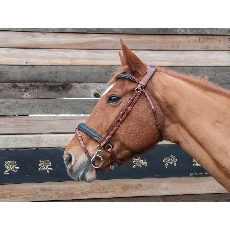 Bridles T de T Lautrec