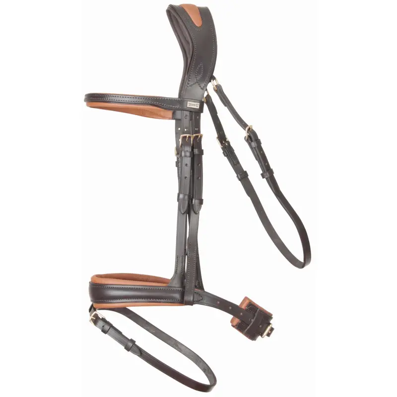 Bridles T de T Matisse
