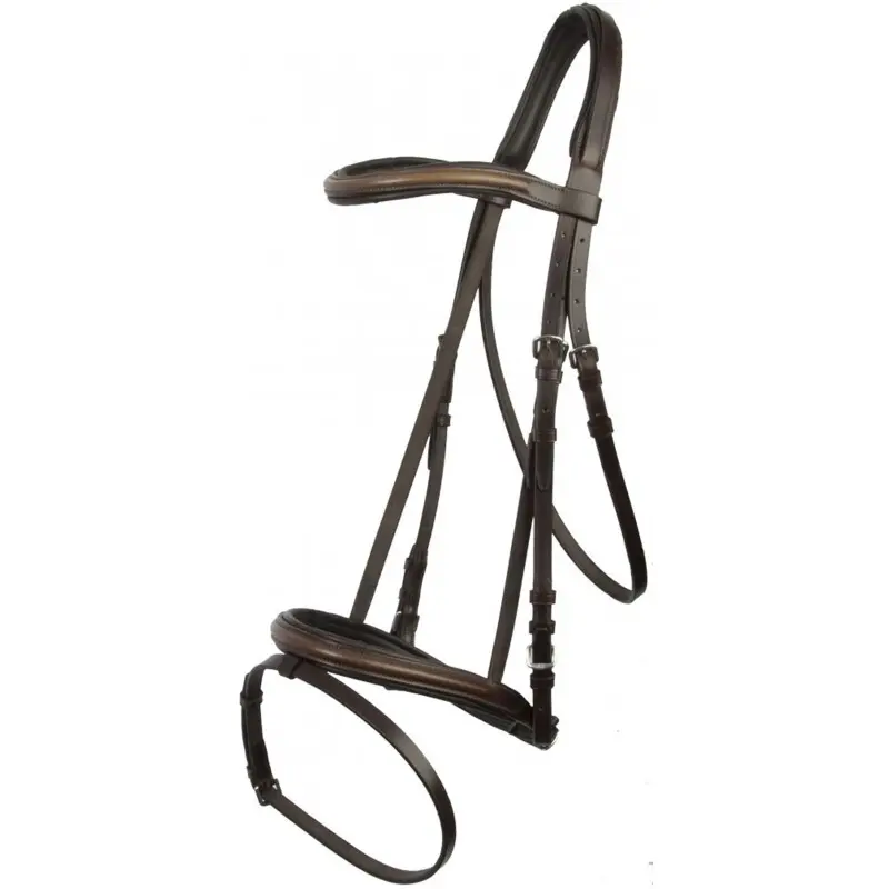 Bridles T de T Klimt