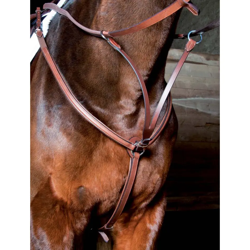 Hunting collar for horse doubled T de T