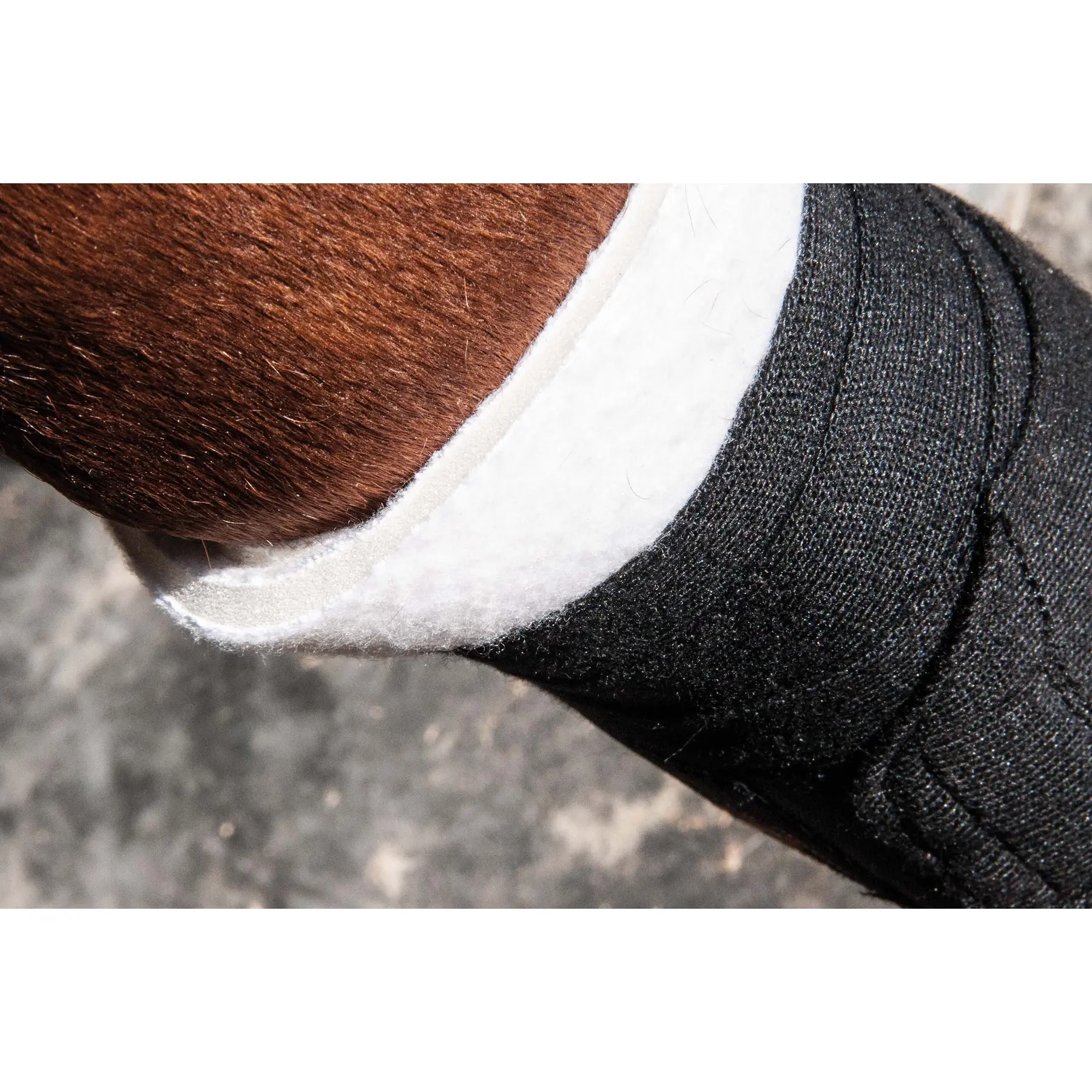 sottofasce posteriori in schiuma per cavalli T de T