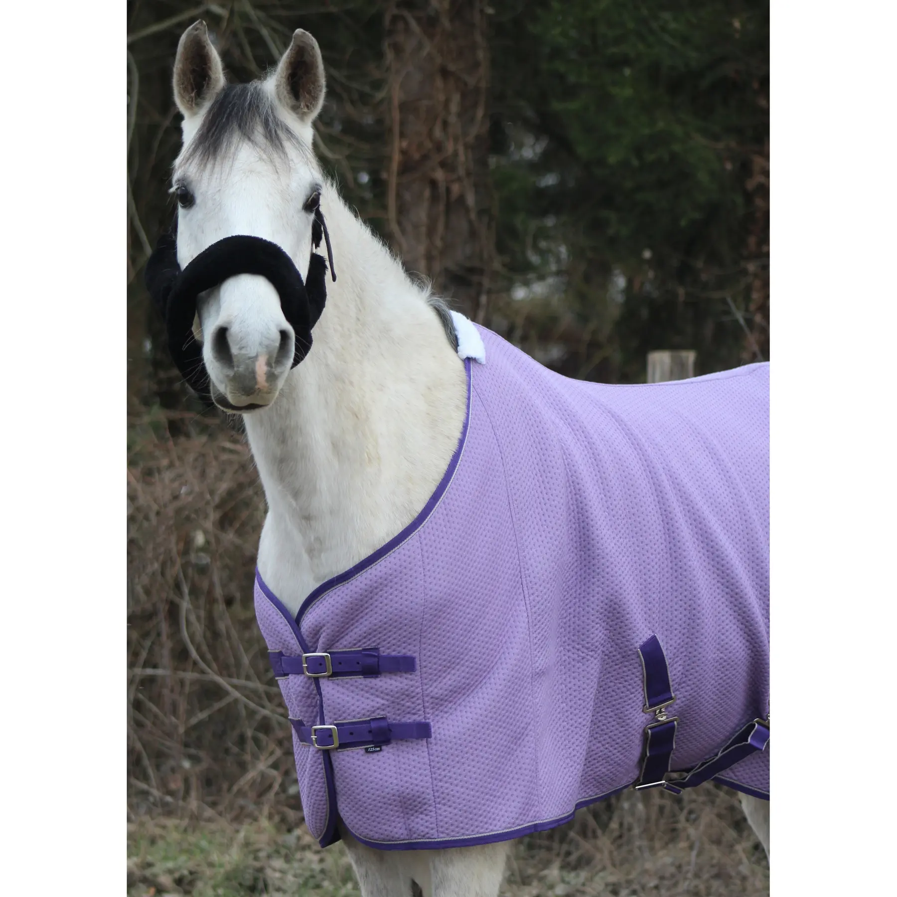 Micro Jersey Rug T de T