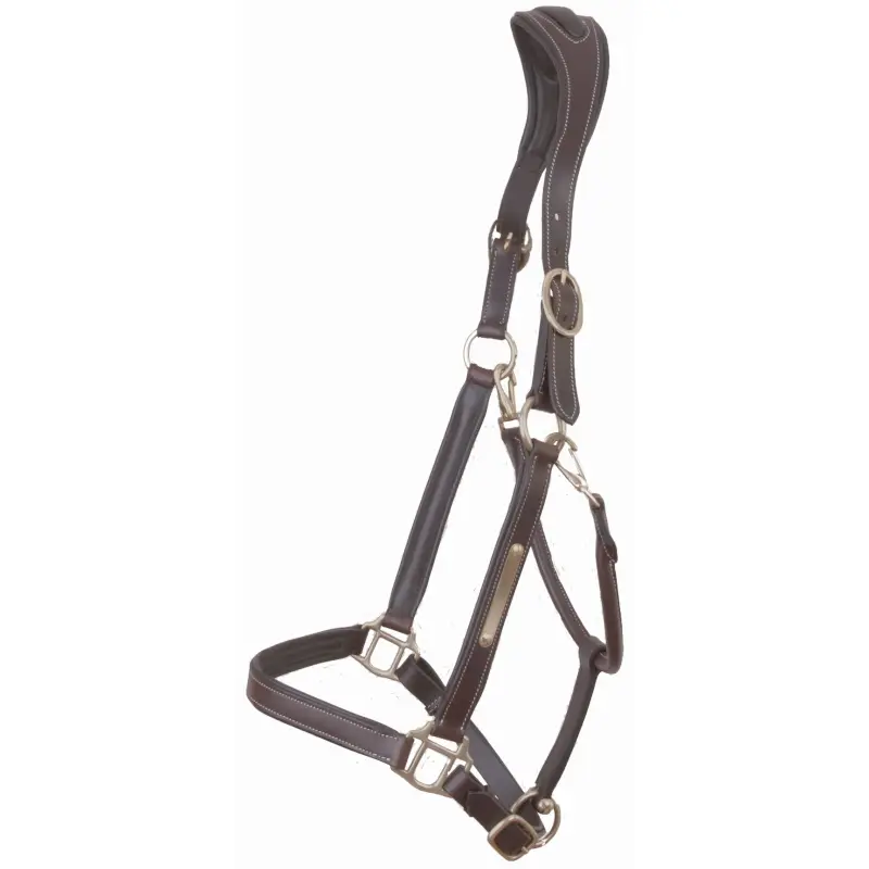 Horse halter with plate T de T