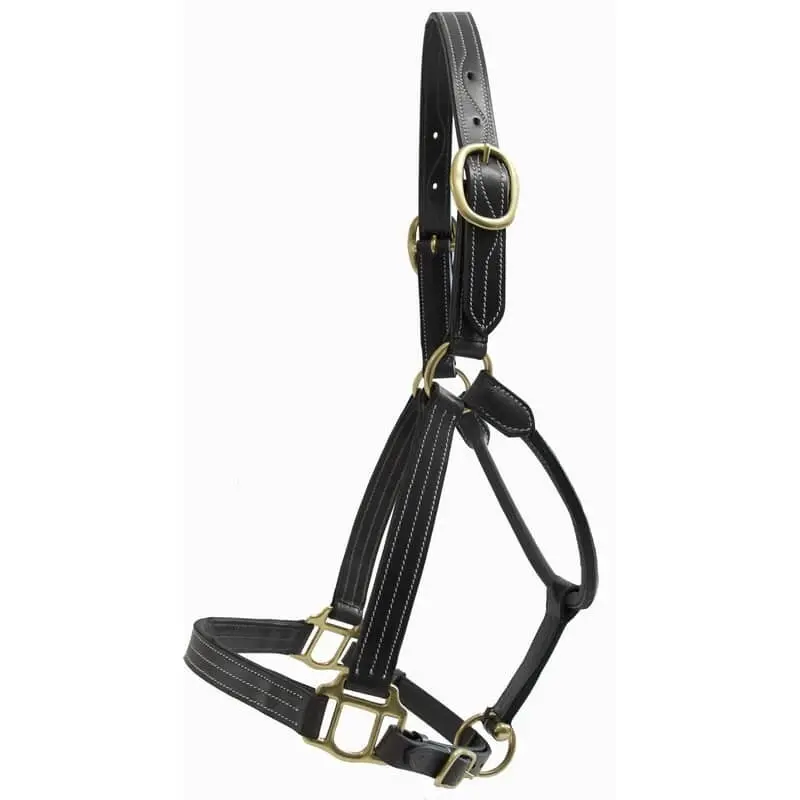 Horse halter with plate T de T