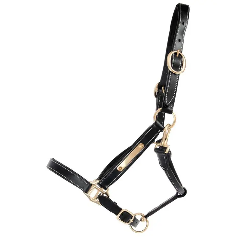 Leather halter for horse with plate T de T